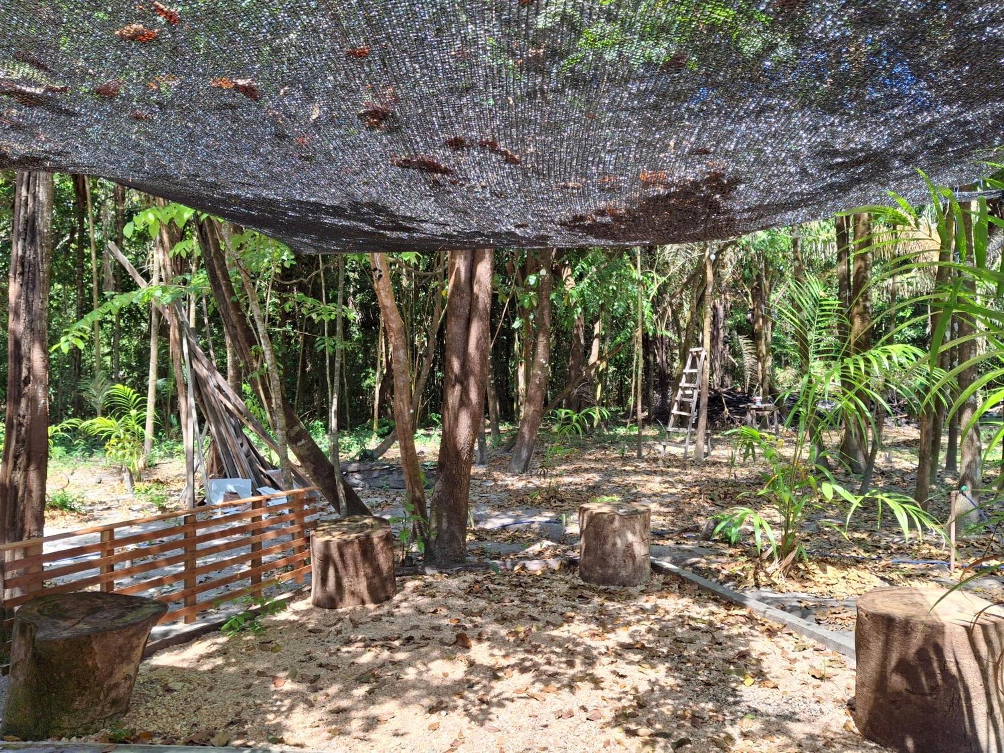 Casa Da Mata Marajo Villa Salvaterra Luaran gambar